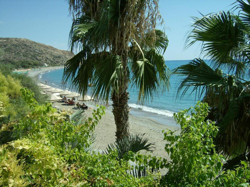 Patriko Village Home Pissouri Luaran gambar